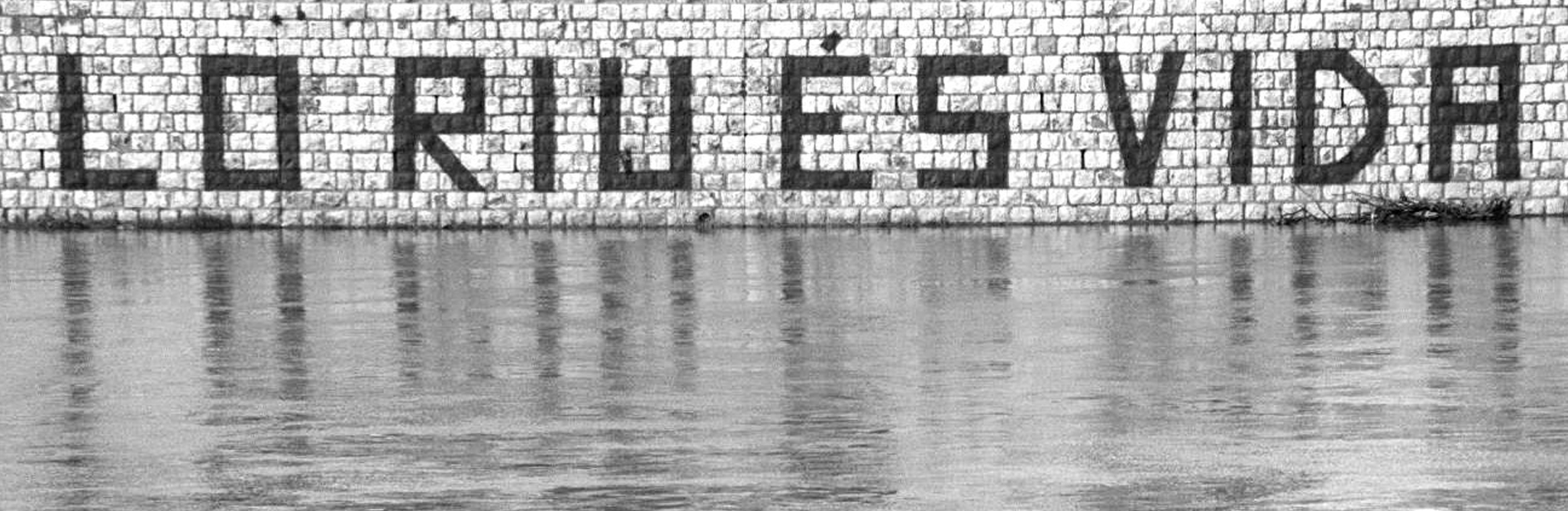2003972